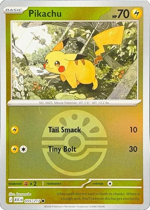 Pikachu - Friend Ball (55)