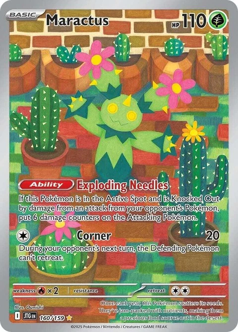 Maractus (160)